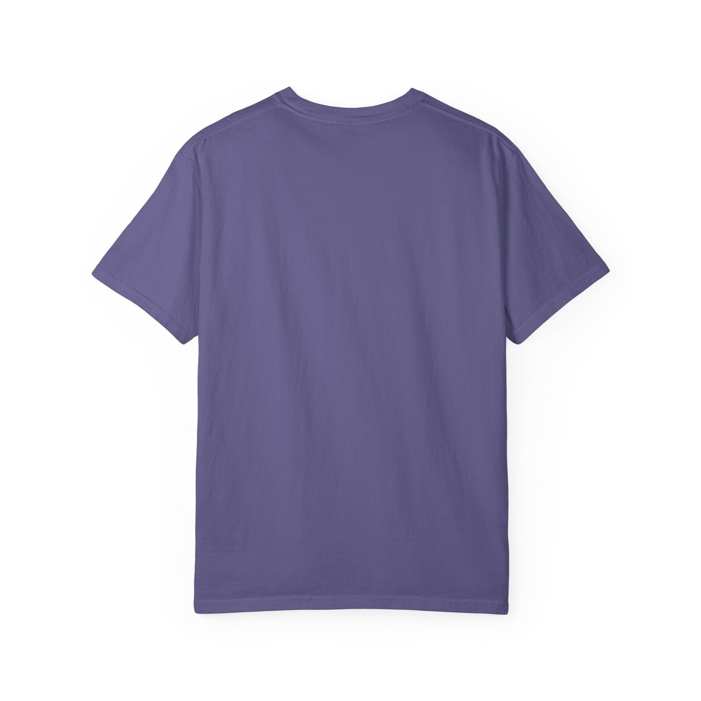 Paradise TV Show Unisex Garment-Dyed T-shirt, HULU Fan Gift Tee, Vintage Tee, Retro Shirt, Pop Culture Top, Graphic Tee